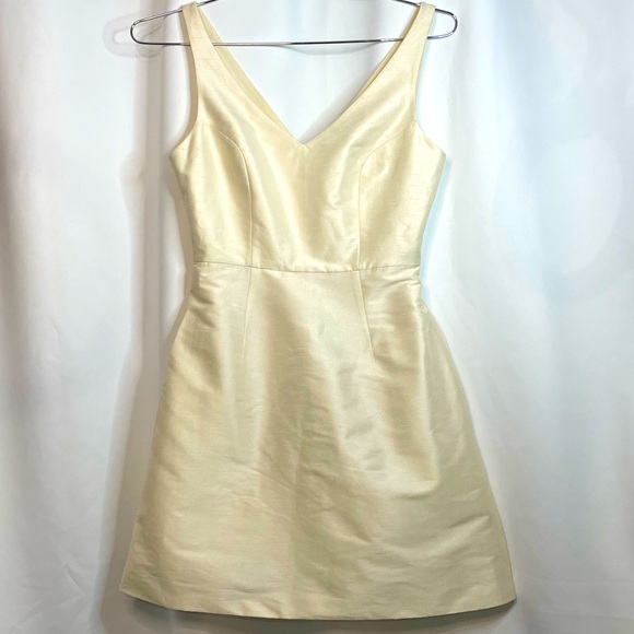 NWT Sachin & Babi Ivory Rosie Dress Sleeveless v-neck sz 2